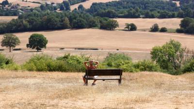 TOPSHOT - People look out from a viewpoint at Newlands Corner, near Guildford, southwest of London, on August 2, 2026, over dry fields, turned brown from the heat of the sun and the lack of rain. England and Wales were on course for the driest July since records began nearly 200 years ago, the Met Office said on Friday, amid a prolonged heatwave and exceptionally low rainfall. (Photo by Peter Nicholls / AFP)