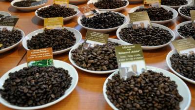 Različna zrna kave bodo tudi letos obiskovalci spoznavali na sejmu espressa (ARHIV)