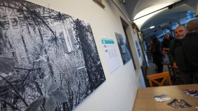 Prodoren opazovalec, vesten kronist