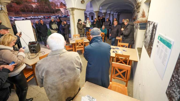 Prodoren opazovalec, vesten kronist