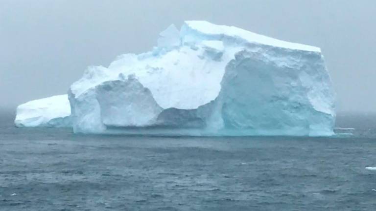 Celina, kjer kraljujeta led, pingvini in tjulnji