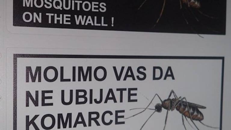 V Zagrebu se soočajo z invazijo komarjev