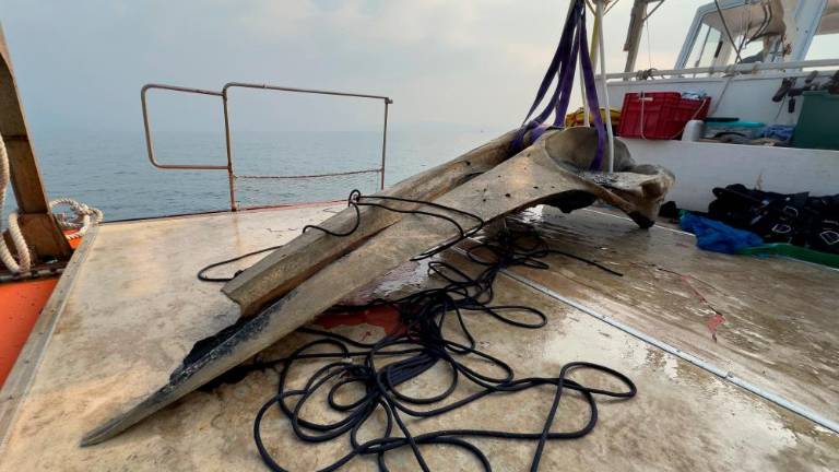 Iz morja rešili še lobanjo nesrečnega brazdastega kita