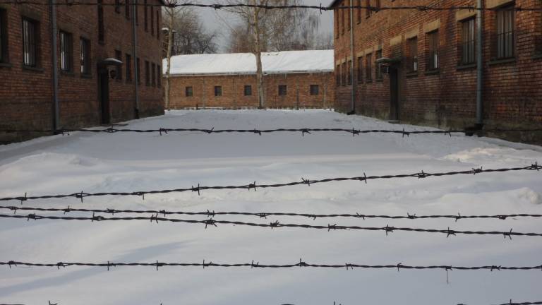 V tabori&scaron;ču v Auschwitzu doslej največ obiskovalcev
