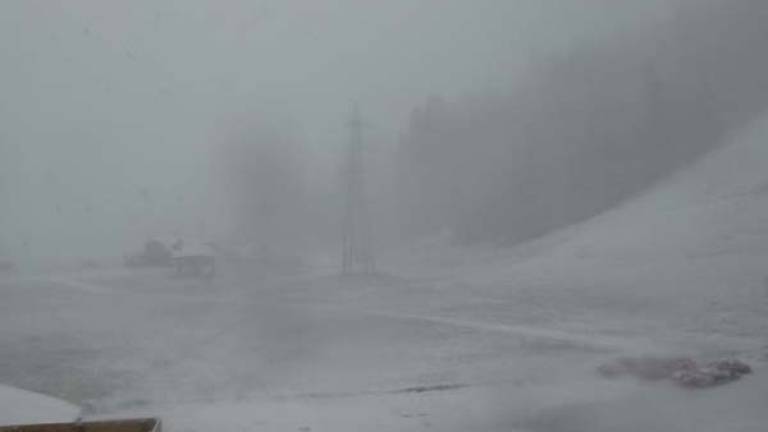 V severnih predelih Slovenije in FJK močno sneži