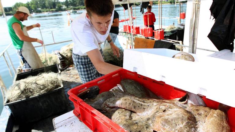 Slovenski ribiči prejeli 48 hrva&scaron;kih kazni