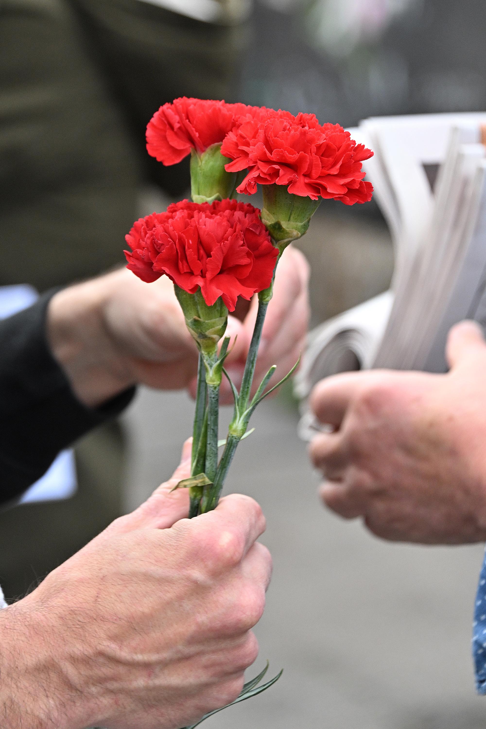 Shodi za pravice delavcev, diplomacijo in mir