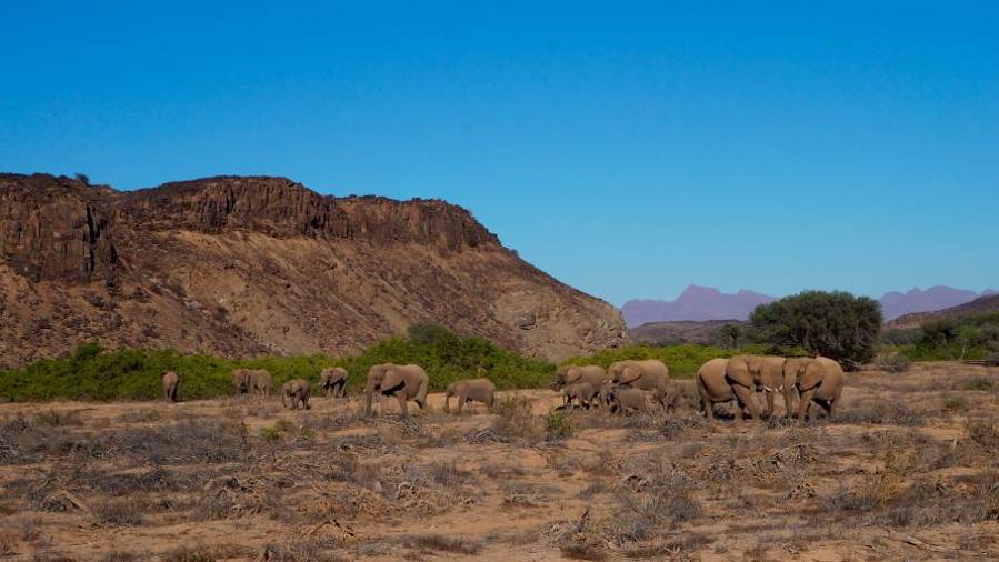 Namibija - Agencija AURORA (od 2. do 13. aprila 2019)