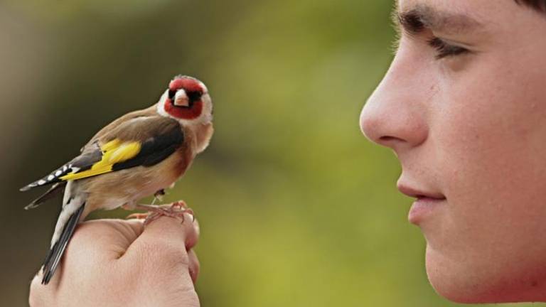 V Hiši filma retrospektiva katalonskega režiserja Marca Recho
