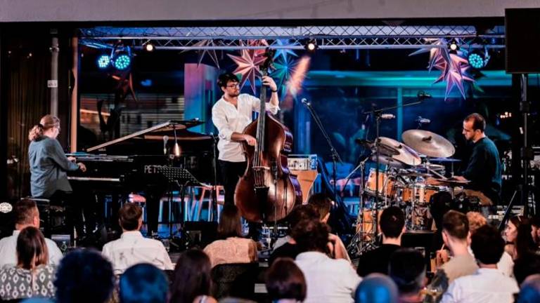 Bistriškemu glasbeniku iz avtomobila ukradli instrumente in opremo