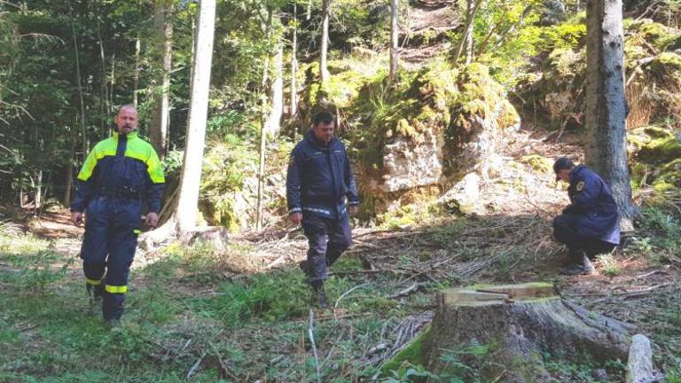 Iskalo ga je 45 ljudi