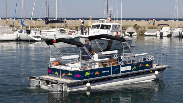 Flabellina bo obiskovalce učila o morski biodiverziteti