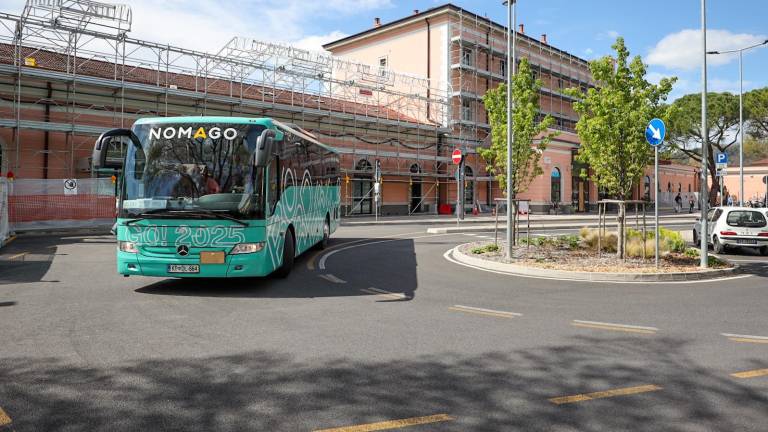 Šoferka nas je vozila med Goricama, sopotniki pa po celem svetu