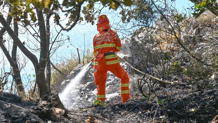 Na obsodbo so se ostro odzvali
