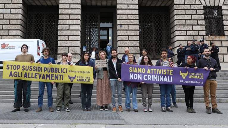 Za tožilca Laura Zorzini ni družbi nevarna