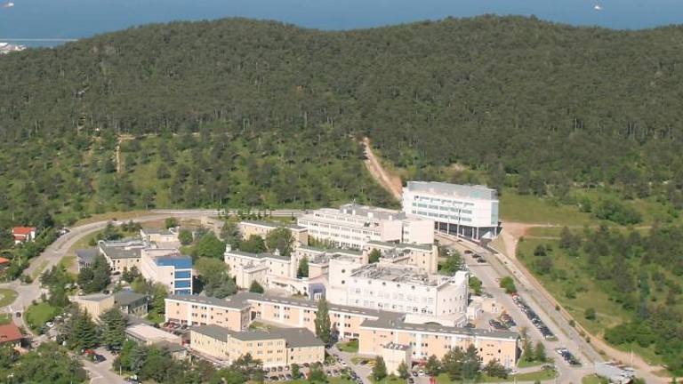 Diva združuje kulturo s podjetništvom