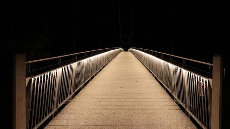 Za brezmejno mreženje si prizadevajo tudi pajki