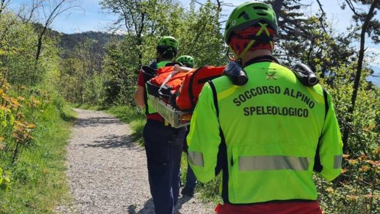 Nad Napoleonsko cesto pomagali sprehodnici