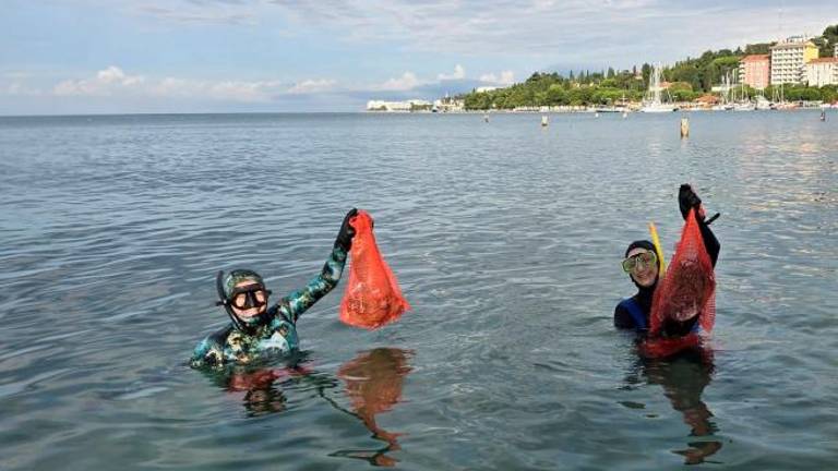 Z morskega dna poleti pobrali več kot 400 kilogramov odpadkov