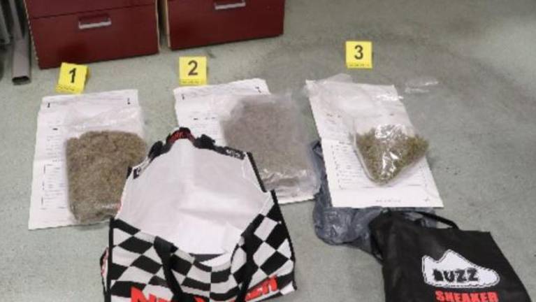 Čez mejo na Dragonji prevažali več kot kilogram konoplje