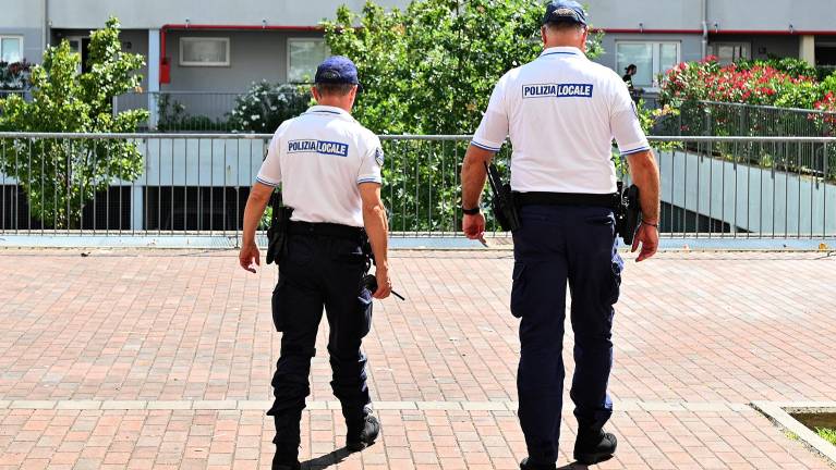 V gozdu Frned našli 600 gramov hašiša