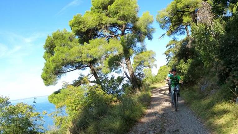 Kako si vi zamišljate razvoj Krasa?