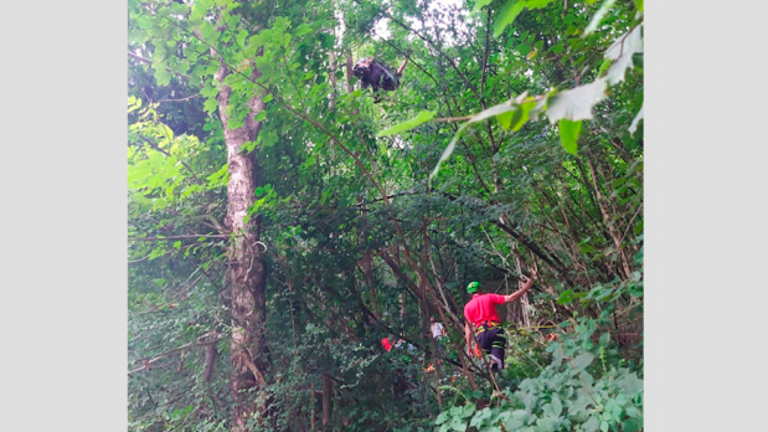 Jadralnega padalca reševali z drevesa
