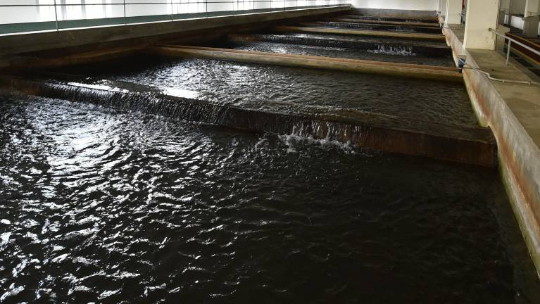 Trst je pred velikimi vodovodnimi odločitvami