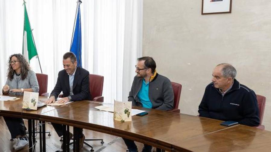 V Mestni hiši so danes predstavili letošnji praznik (FOTODAMJ@N)