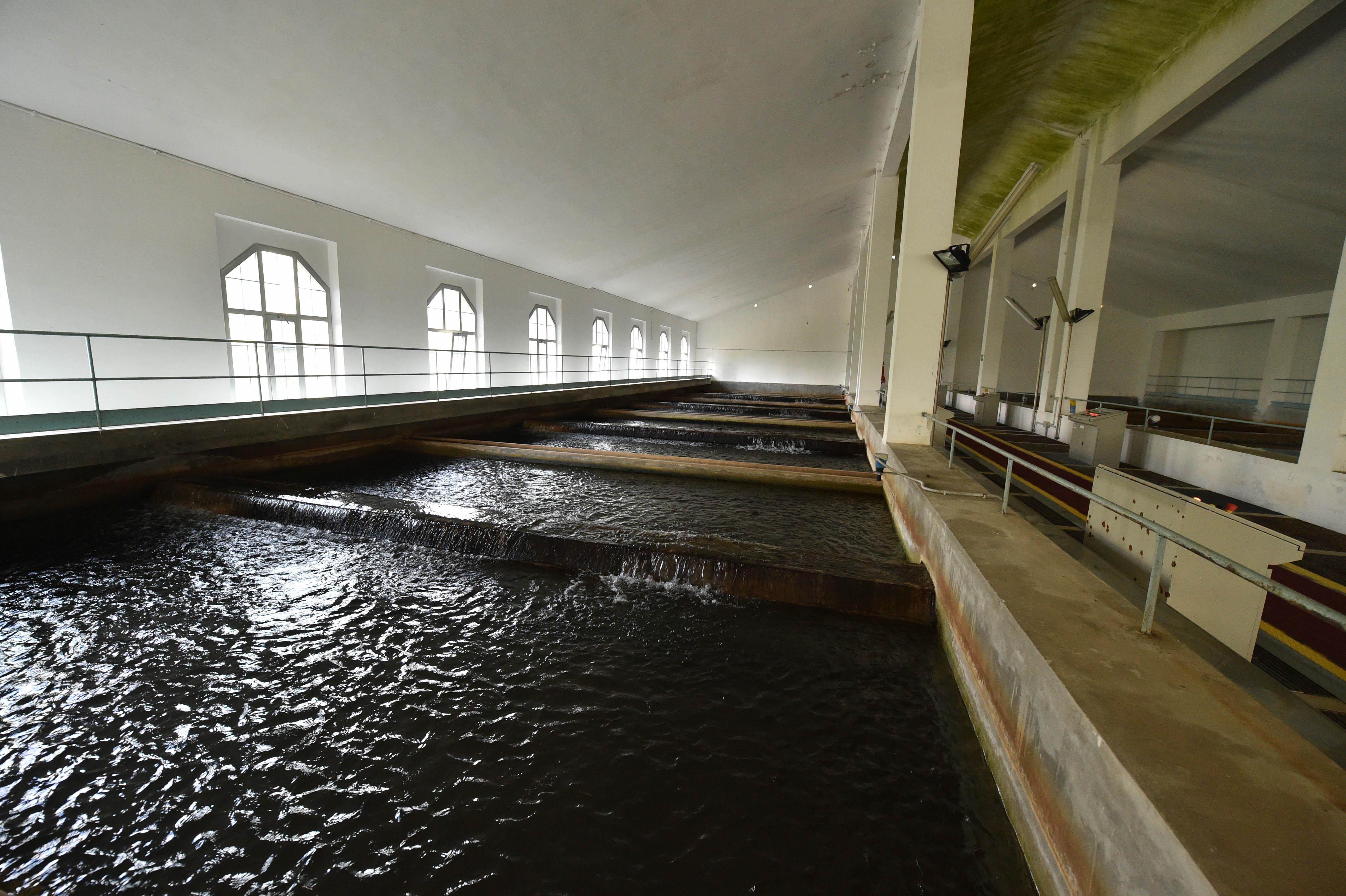 Trst je pred velikimi vodovodnimi odločitvami