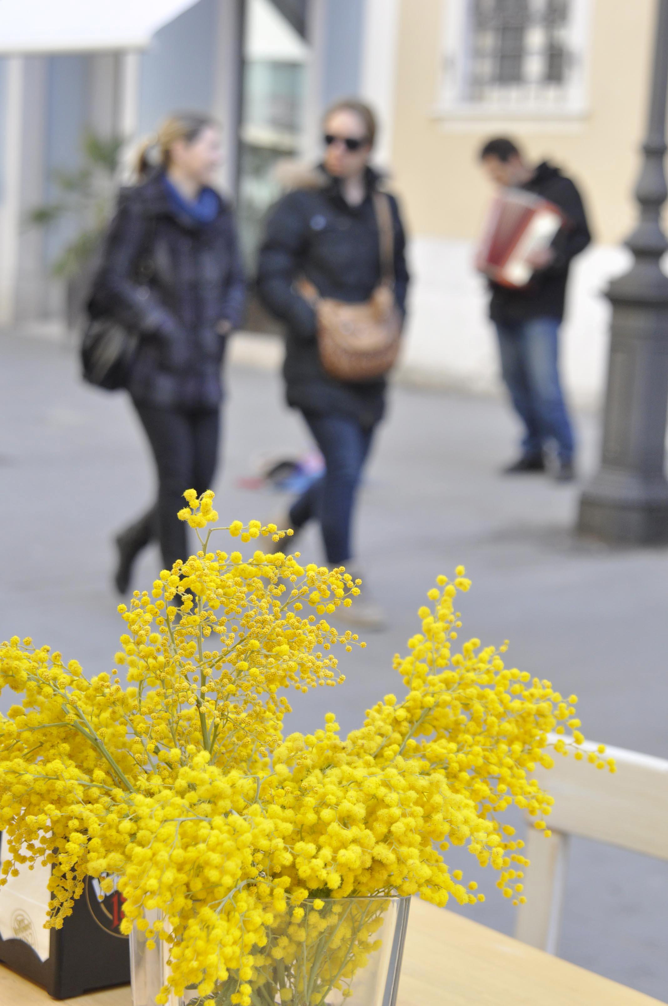 Ob osmem marcu ženske brezplačno v muzeje