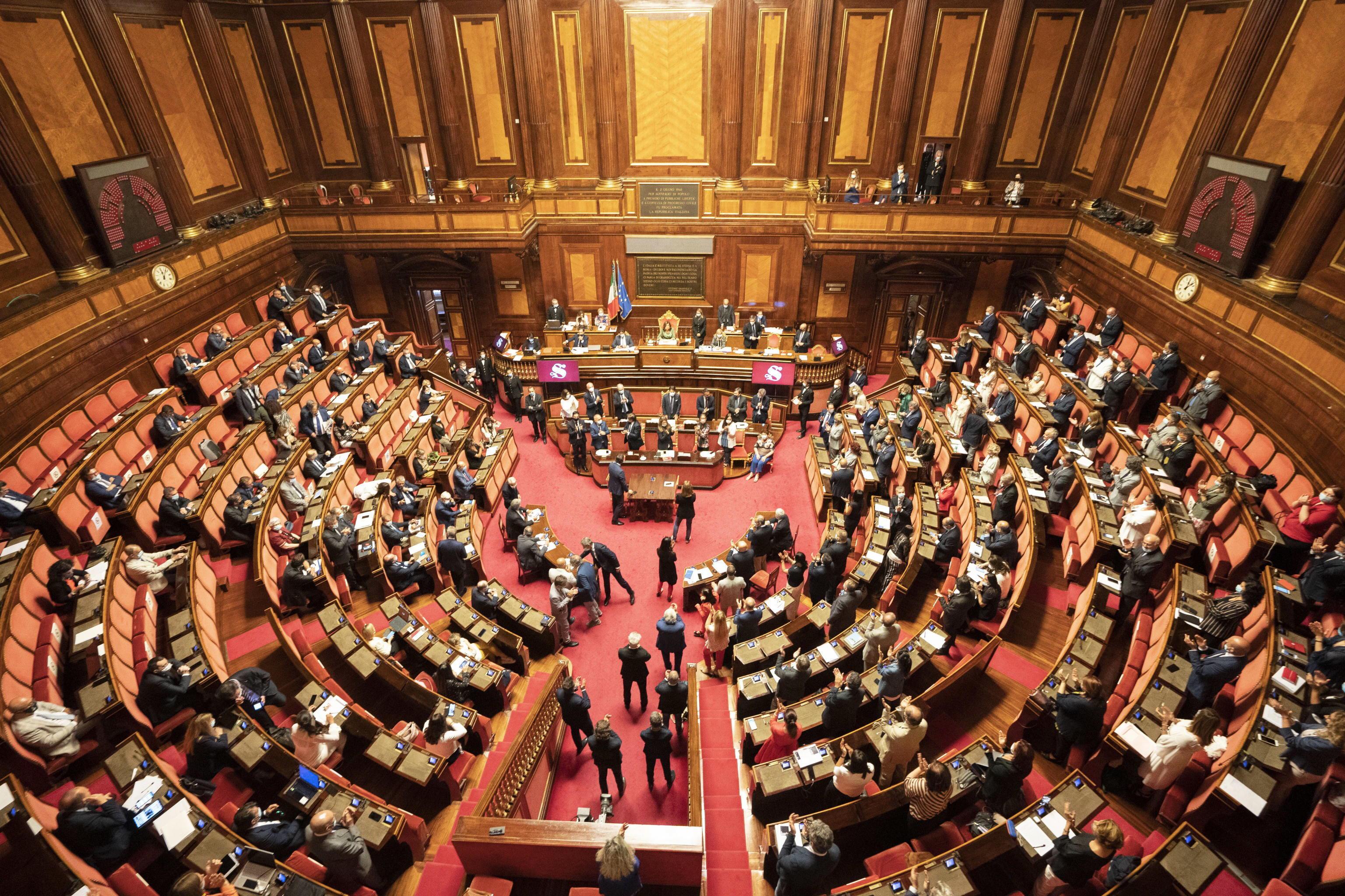 Senatni odbor za ratifikacijo listine o manjšinskih jezikih