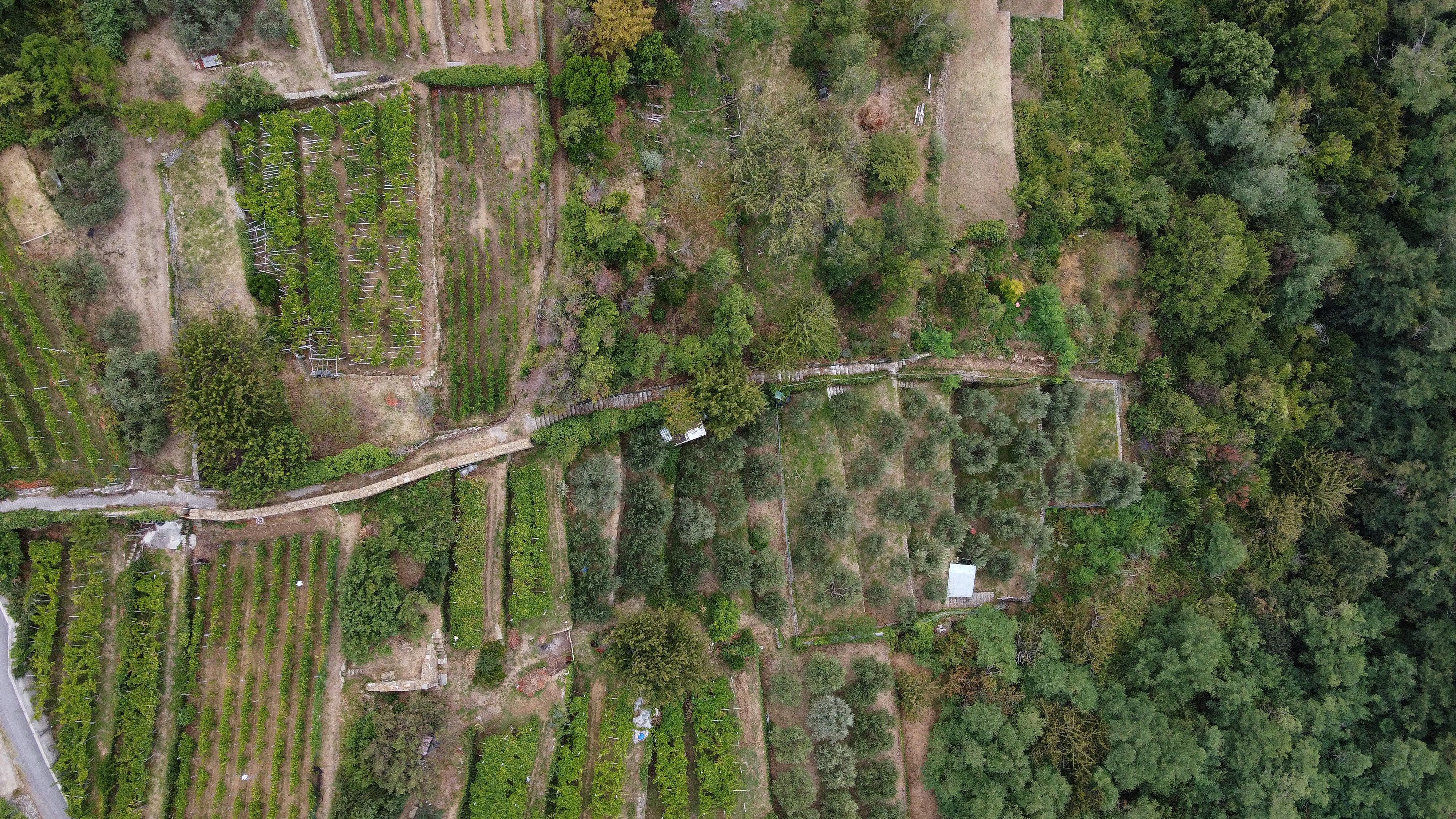 Status gorske občine marsikje visi na nitki, zaskrbljenost je velika