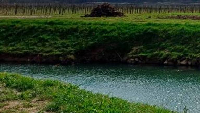 Za ribe usoden nizek vodostaj in izliv fekalne odpadne vode
