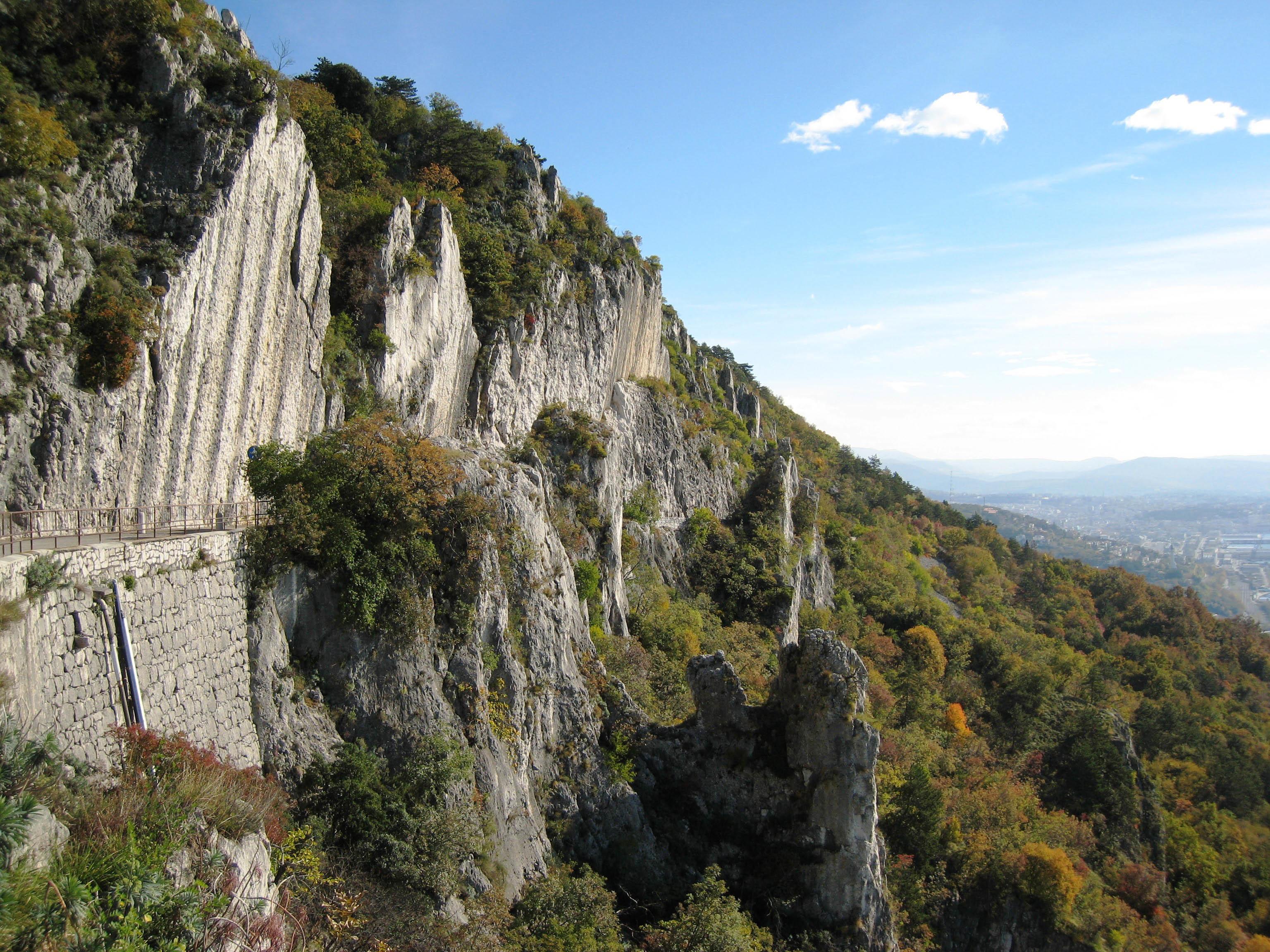 Na Napoleonski cesti se je poškodovala kolesarka