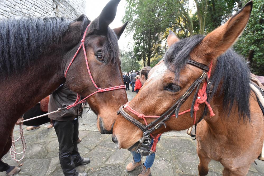 Zakaj na štefanovo blagoslavljajo konje