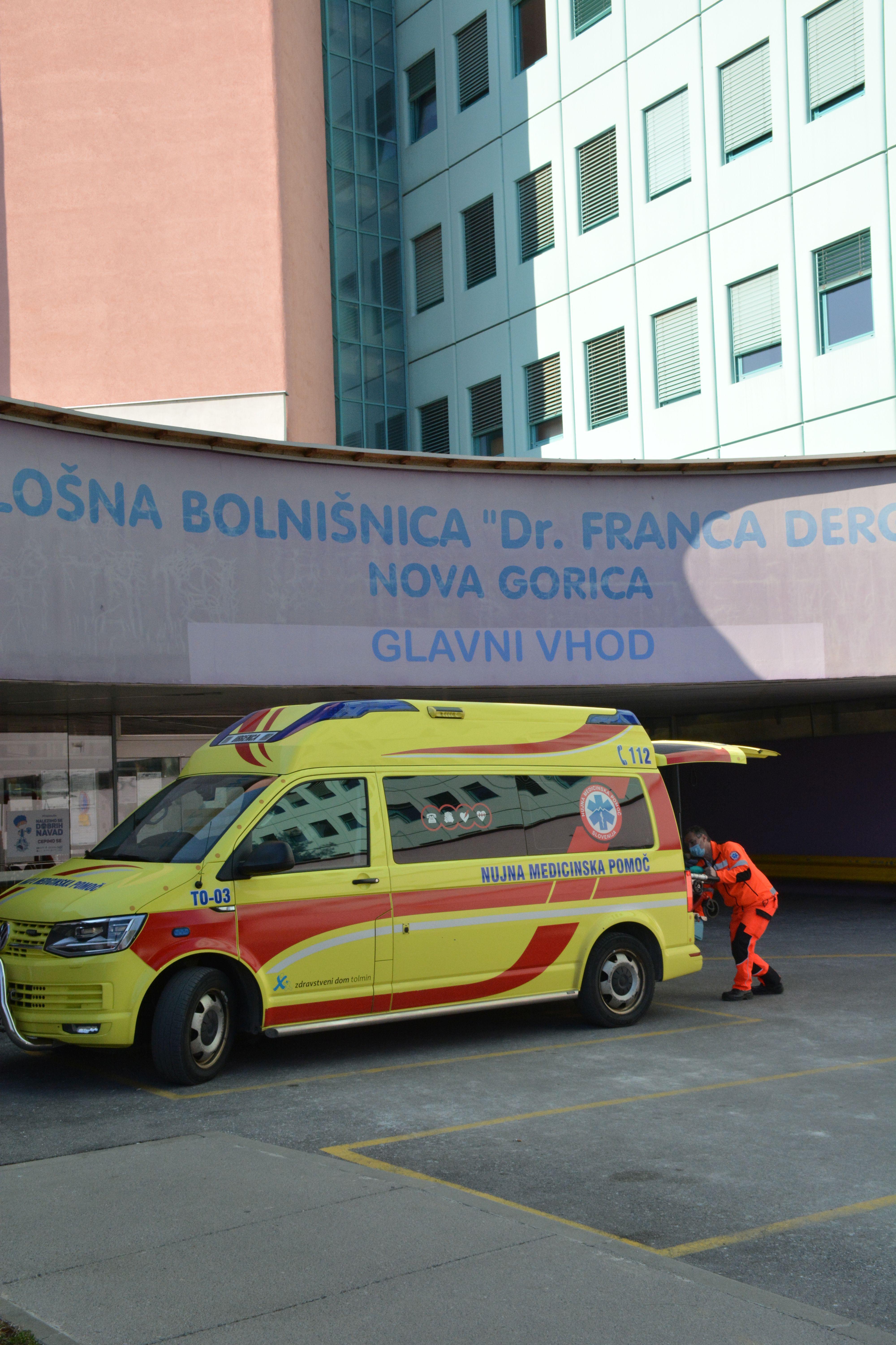 Med sečnjo se je smrtno ponesrečil