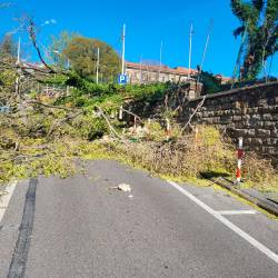 Gasilci so danes večkrat posredovali zaradi podrtih vej in dreves, Ulico Mameli so malo po 16. uri zaprli za promet (AGENTE GIANNA)