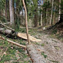 Škoda je po prvih ocenah velika (ZGS)