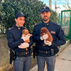 Policistka in policist s pudeljčkoma (POLICIJA)