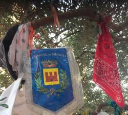 Grb občine Milje na drevesu miru v Ulici D’Amelio v Palermu