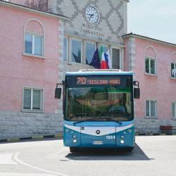 prvi avtobus krene izpred županstva ob 7.50, zadnji pa ob 19.30 (FOTODAMJ@N)