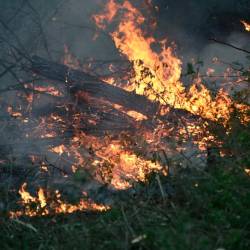 Gozdni požar (FOTOGRAFIJA JE SIMBOLIČNA)