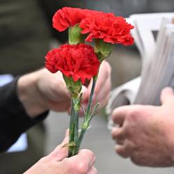 Rdeč nagelj, simbol prvega maja, praznika delavcev