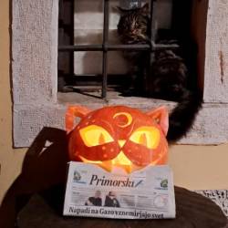 George vam vošči vesel Halloween iz Cola (Viktoriya Bilogubets)
