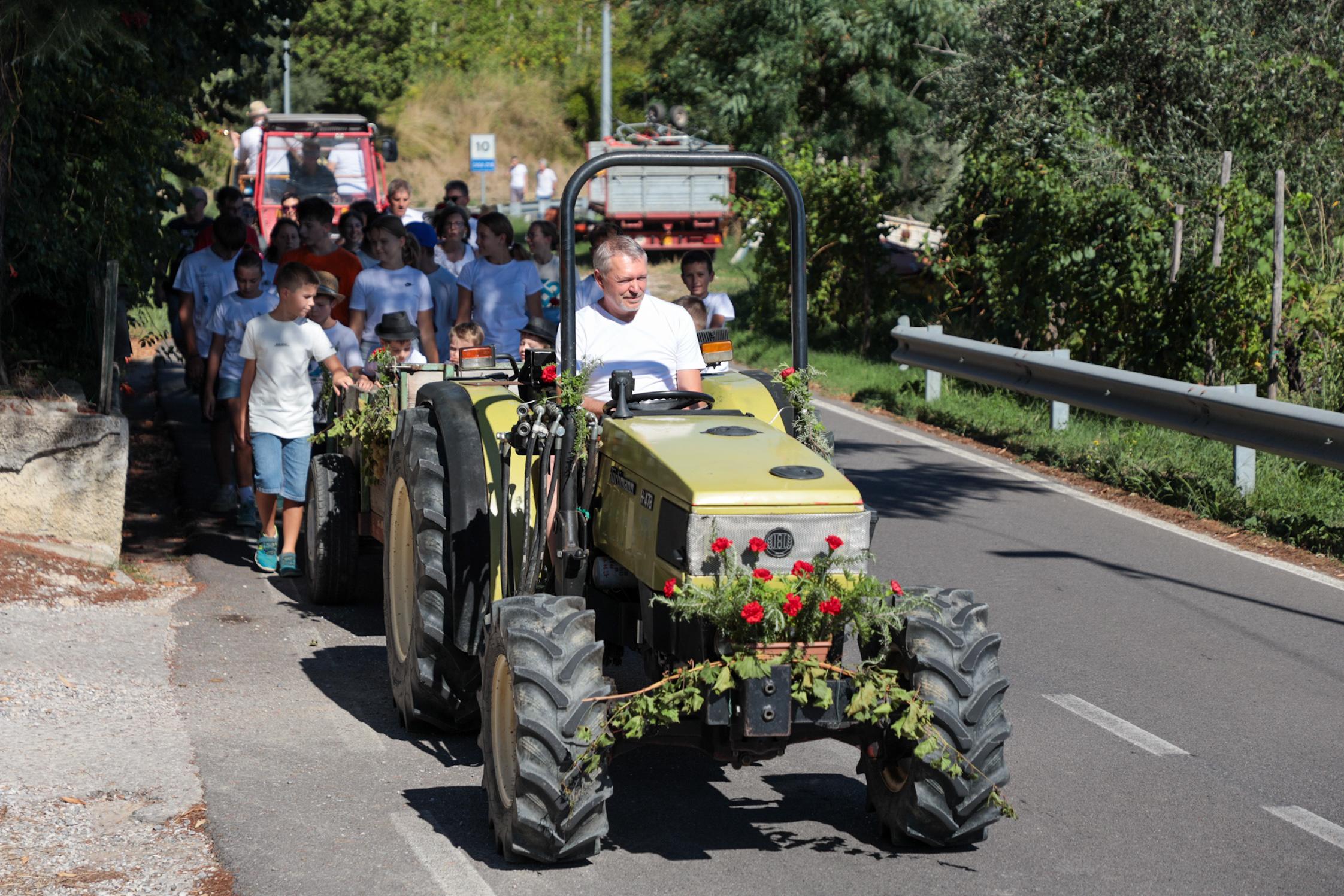 Družinske kmetije dodana vrednost Števerjana (foto in video)