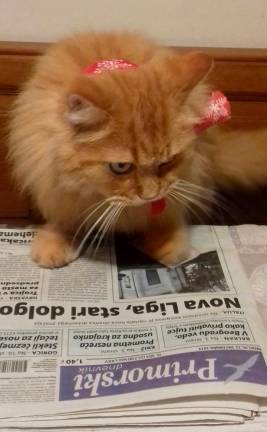 Fotoutrip ‘20 - marec