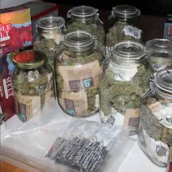 Zasegli so približno 3,5 kilograma rastlinskih delcev, za katere sumijo, da gre za konopljo (PU NOVA GORICA)