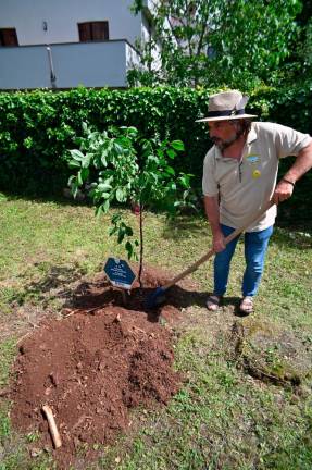 Ob svetovnem dnevu čebel