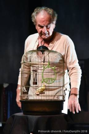 Bernhardov Videz vara